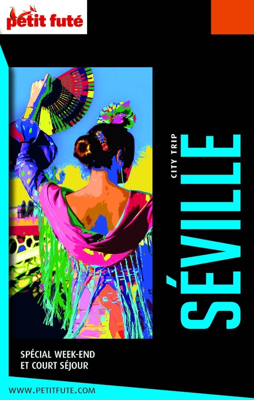 ebook cover of Guide Séville City Trip 2022/2023 City trip Petit Futé, by Collectif