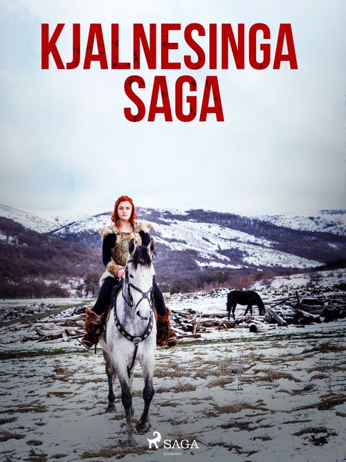 Couverture ebook de Kjalnesinga saga , de OþEkktur