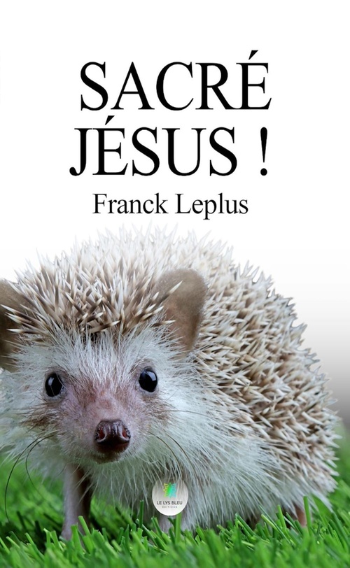 Couverture ebook de Sacré Jésus !, de Franck Leplus