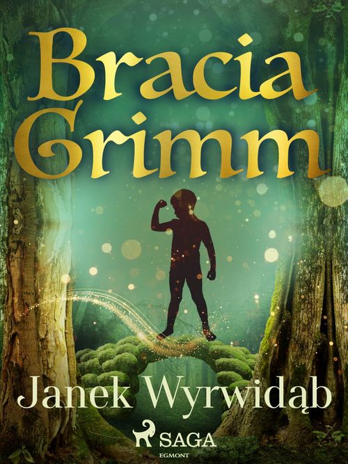 Couverture ebook de Janek Wyrwidab, de Bracia Grimm