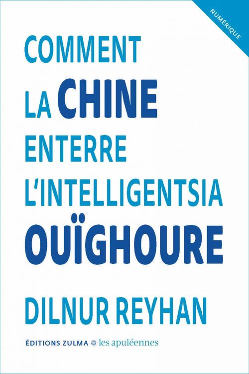ebook cover of Comment la Chine enterre l'intelligentsia ouïghoure, by Dilnur Reyhan