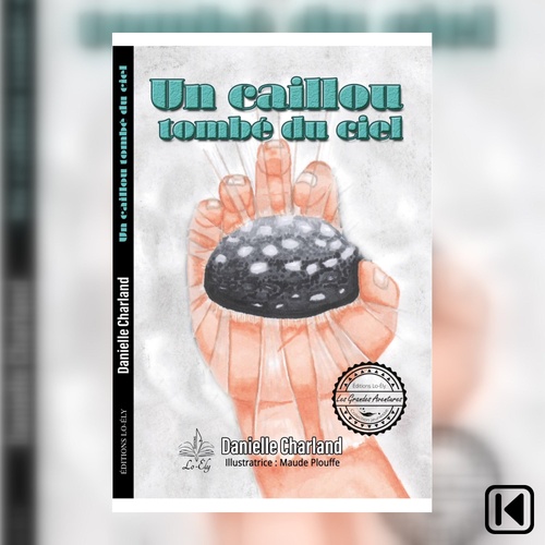 audiobook cover of Un caillou tombé du ciel, by Danielle Charland