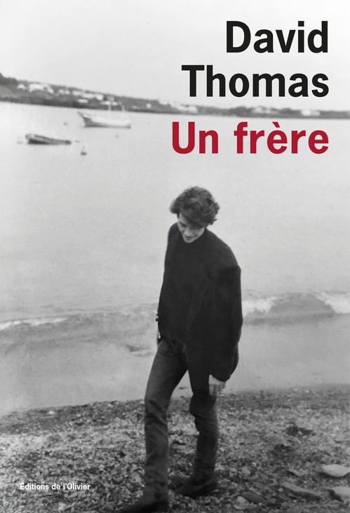 ebook cover of Un frère, by David Thomas