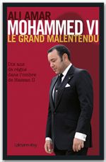 Couverture ebook de Mohammed VI, le grand malentendu, de Ali Amar