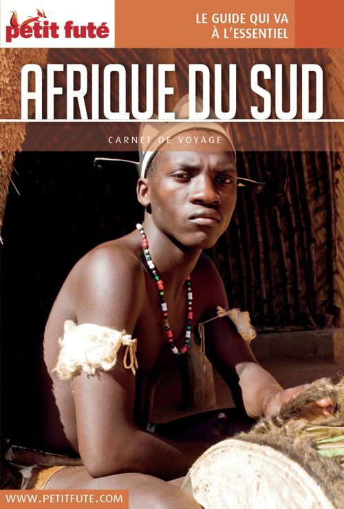 ebook cover of AFRIQUE DU SUD 2016 Carnet Petit Futé, by Collectif petit futé