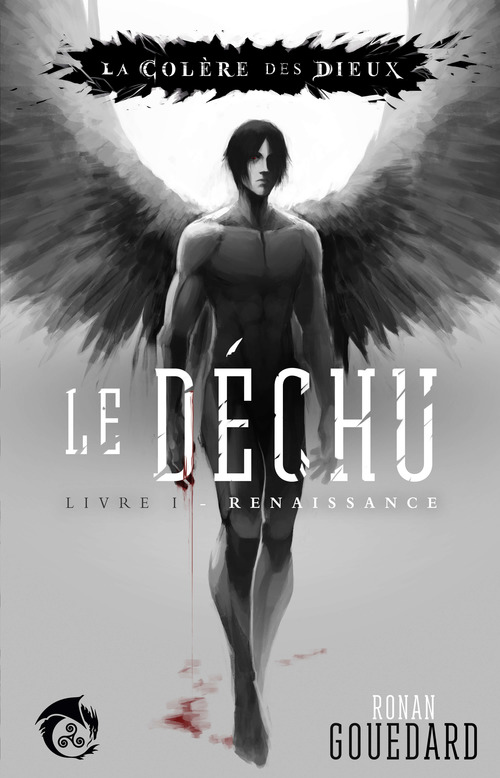 Couverture ebook de Le Déchu, Livre 1 : Renaissance, de Ronan Gouedard