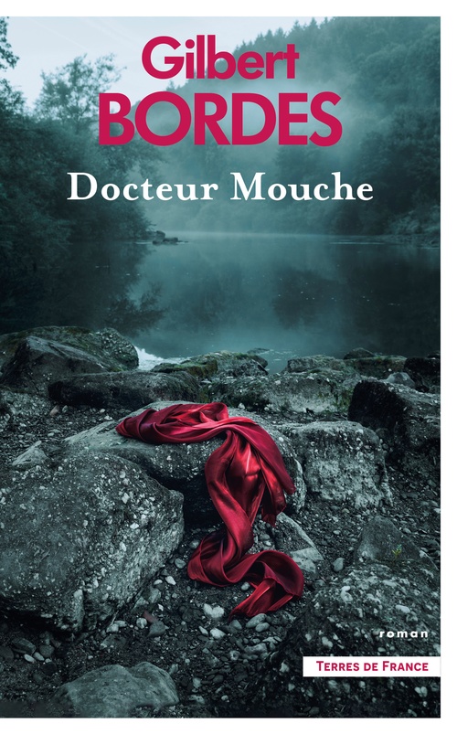 ebook cover of Docteur Mouche, by Gilbert Bordes