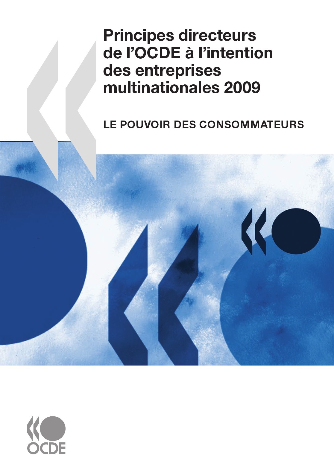 Couverture ebook de Principes directeurs de l'OCDE à l'intention des entreprises multinationales 2009, de Collectif