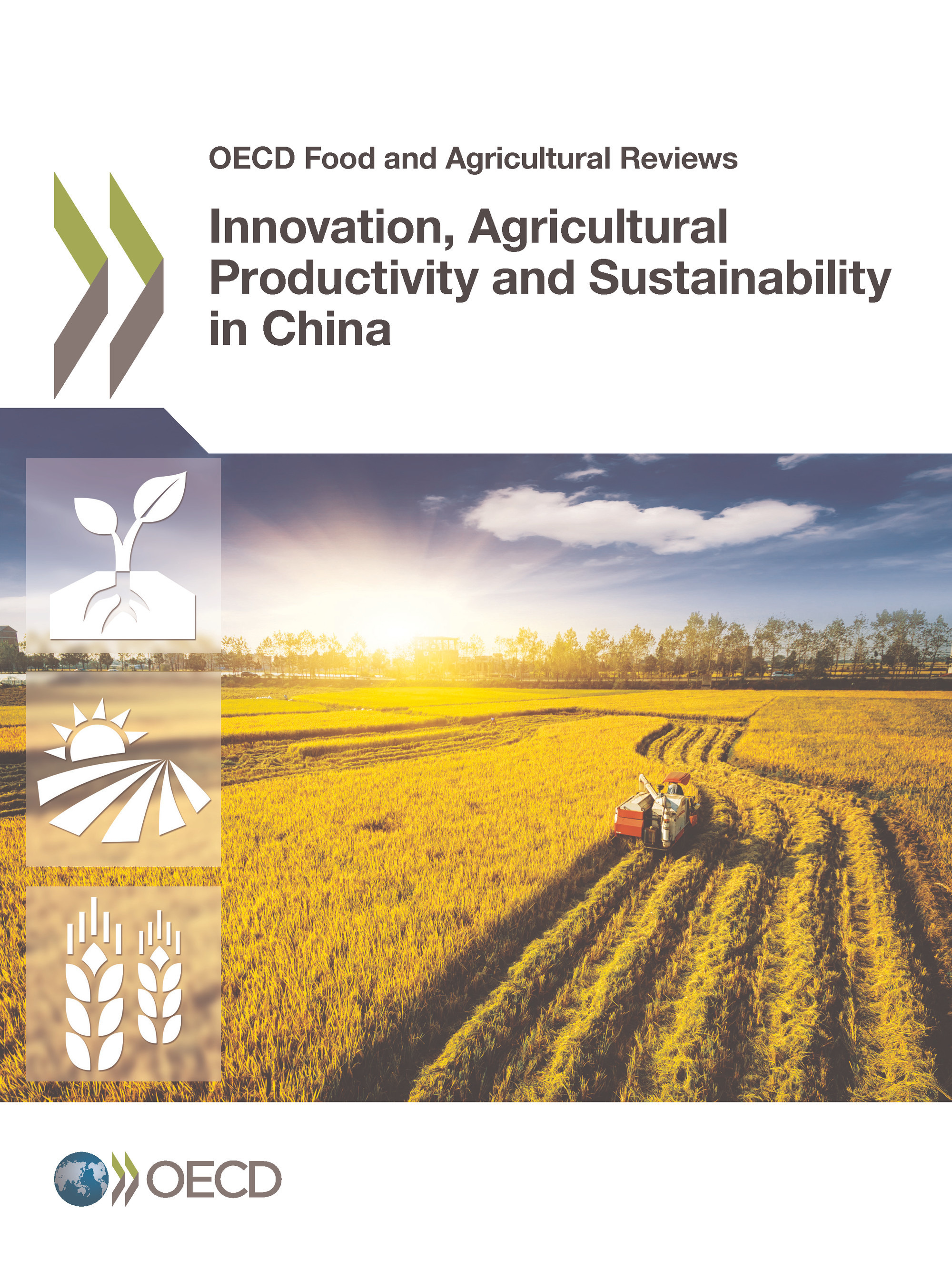 Couverture ebook de Innovation, Agricultural Productivity and Sustainability in China, de Collectif