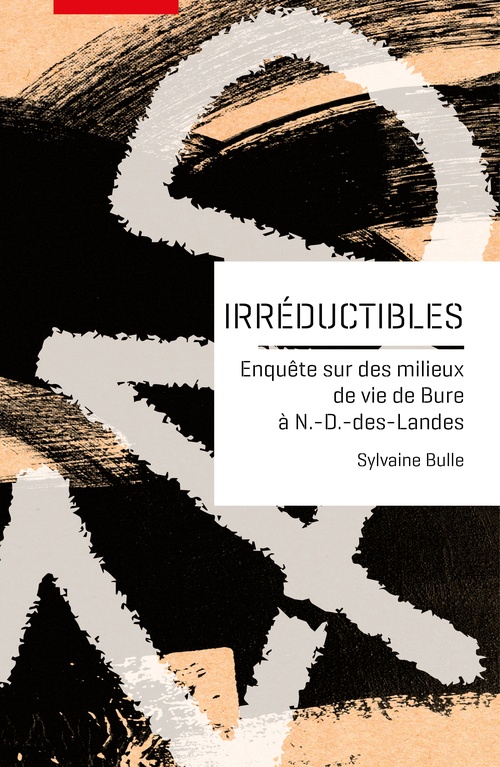 ebook cover of Irréductibles, by Sylvaine Bulle