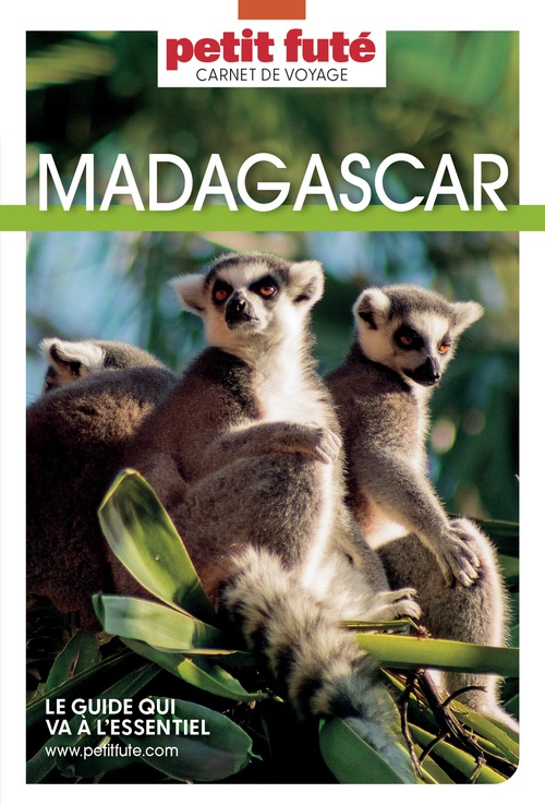 ebook cover of MADAGASCAR 2022 Carnet Petit Futé, by Collectif petit futé