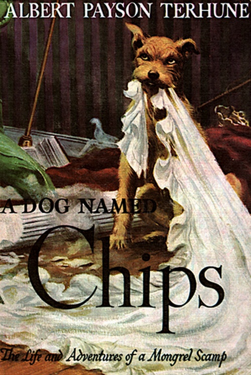 Couverture ebook de A Dog Named Chips: The Life and Adventures of a Mongrel Scamp, de Albert Payson Terhune