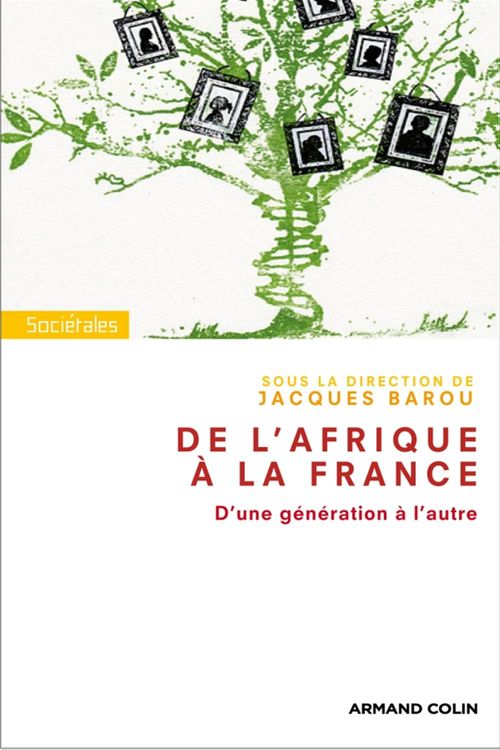 ebook cover of De l'Afrique à la France. D'une génération à l'autre., by Jacques Barou