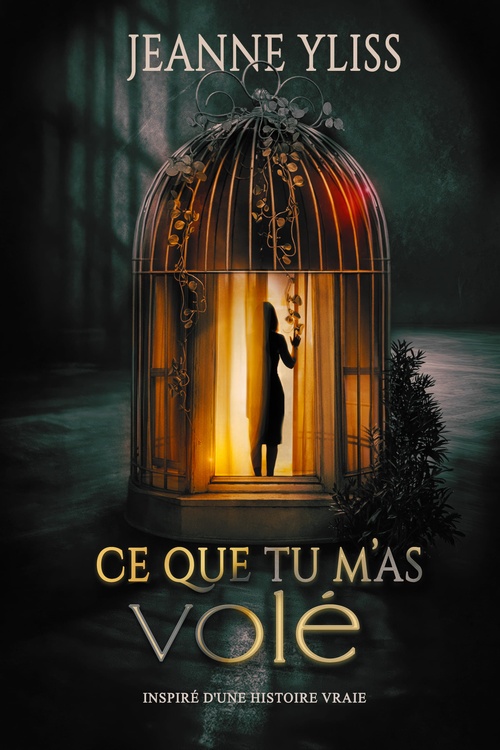ebook cover of Ce que tu m'as volé, by Jeanne Yliss