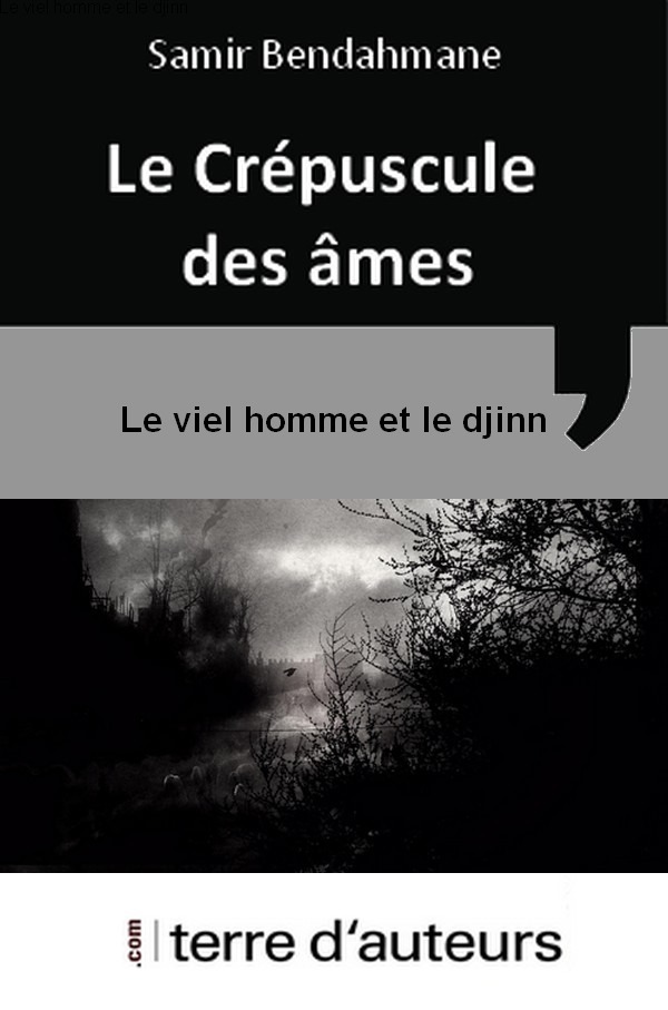 ebook cover of Le viel homme et le djinn, by Samir Bendahmane