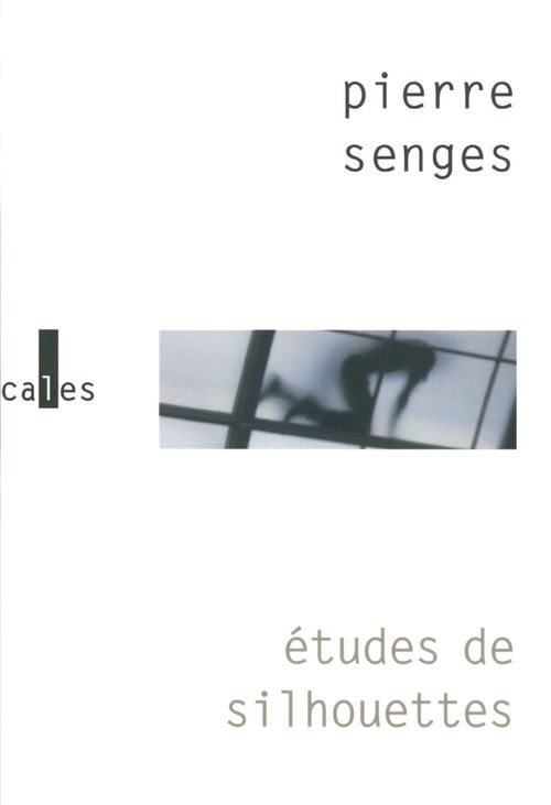 ebook cover of Études de silhouettes, by Pierre Senges