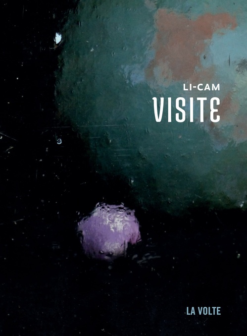 Couverture ebook de Visite, de Li-Cam