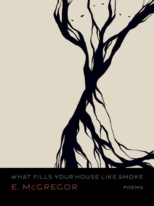 ebook cover of What Fills Your House Like Smoke, by E. Mcgregor