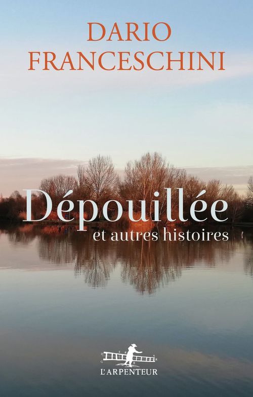 Couverture ebook de Dépouillée et autres histoires, de Dario Franceschini