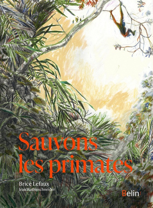 Couverture ebook de Sauvons les primates, de Brice Lefaux, Jean Wollenschneider