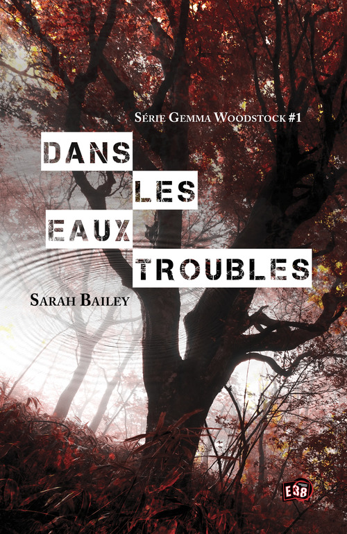 ebook cover of Dans les eaux troubles, by Sarah Bailey, Adrian Castillo