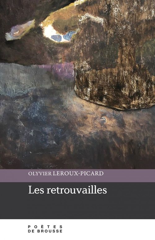 Couverture ebook de Les retrouvailles, de Olyvier Leroux-Picard