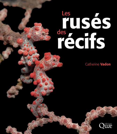 ebook cover of Les rusés des récifs, by Catherine Vadon
