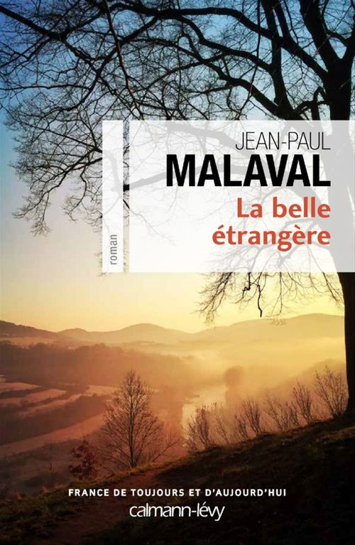 Couverture ebook de La Belle étrangère, de Jean-Paul Malaval