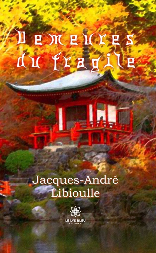 ebook cover of Demeures du fragile, by Jacques-André Libioulle