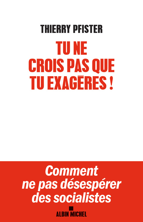 ebook cover of Tu ne crois pas que tu exagères ?, by Thierry Pfister