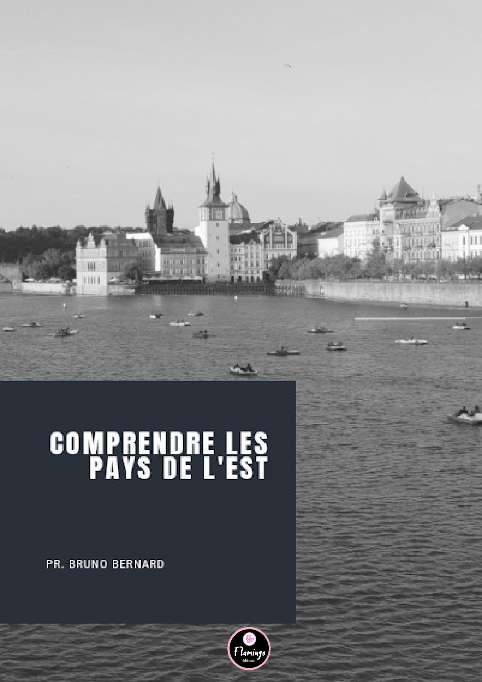 Couverture ebook de Comprendre les pays de l'Est, de Bruno Bernard
