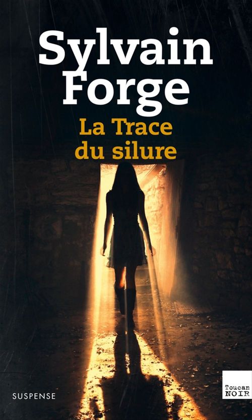 ebook cover of La Trace du silure, by Sylvain Forge