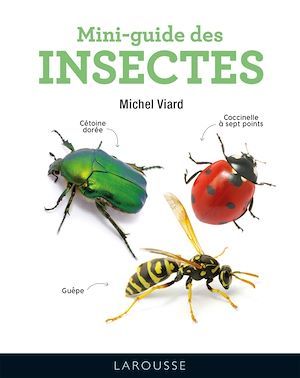 Couverture ebook de Mini-guide des insectes, de Michel Viard