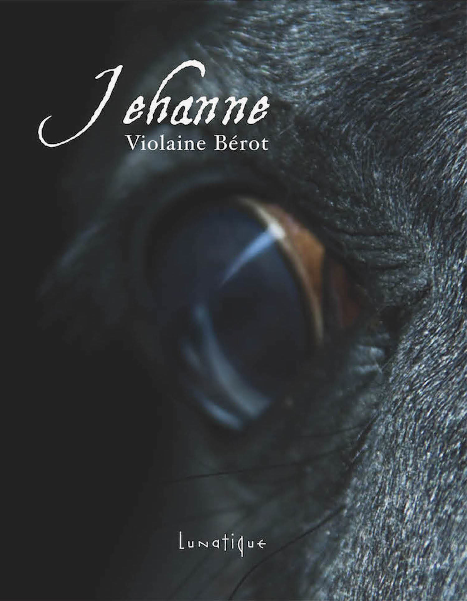 Couverture ebook de Jehanne, de Violaine Bérot