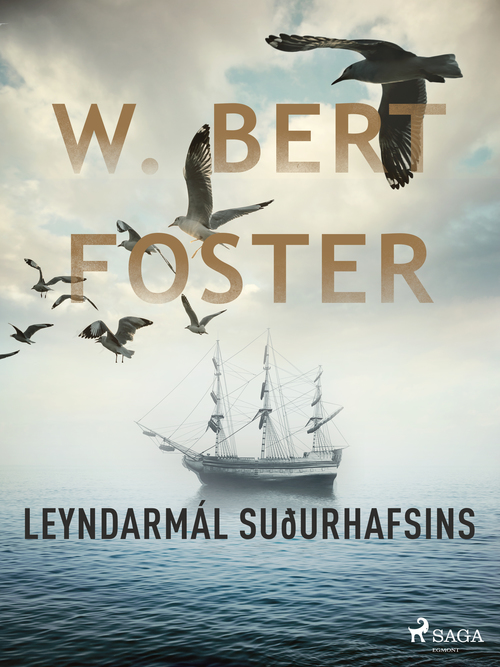 ebook cover of Leyndarmál suðurhafsins, by W. Bert Foster