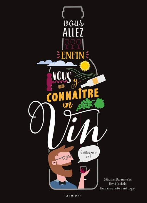 ebook cover of Vous allez enfin vous y connaître en vin, by David Cobbold, Sébastien Durand-Viel