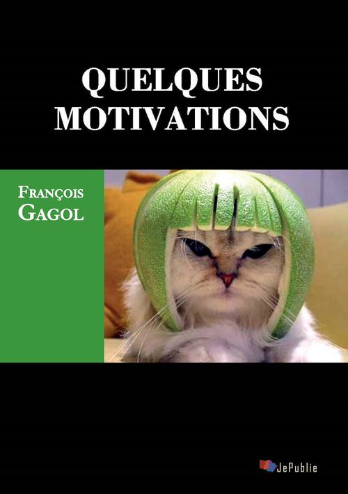 ebook cover of Quelques motivations, by François Gagol