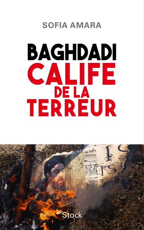 ebook cover of Baghdadi, calife de la terreur, by Sofia Amara