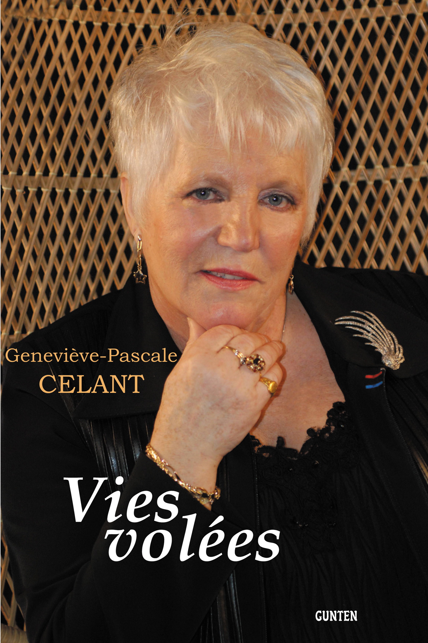 Couverture ebook de Vies Volées, de Geneviève Celant