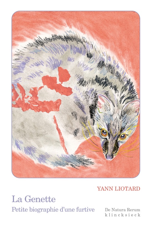 ebook cover of La Genette, by Yann Liotard, Jean Wollenschneider