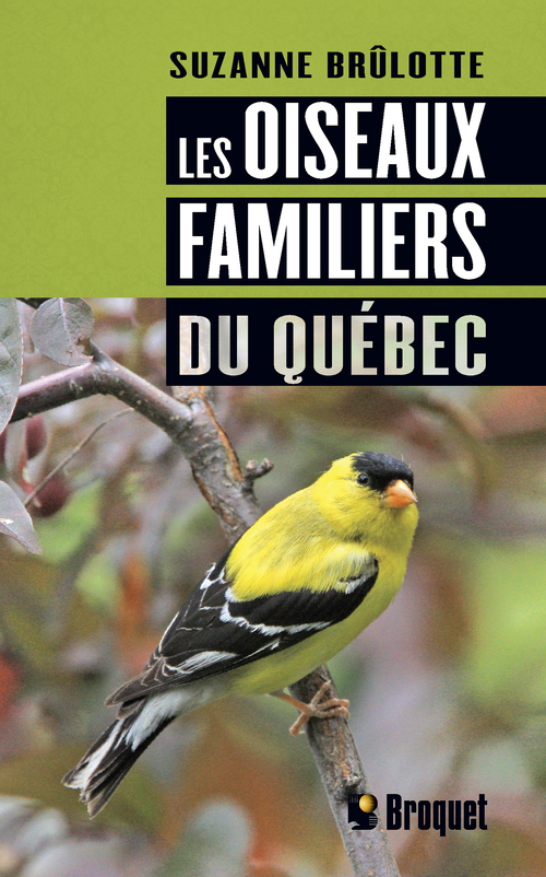 ebook cover of Les oiseaux familiers du Québec, by Suzanne Brûlotte