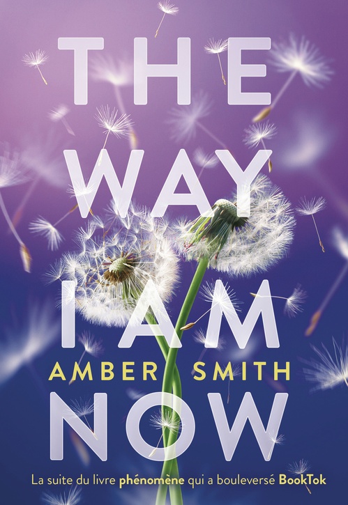 Couverture ebook de The Way I am now, de Amber Smith