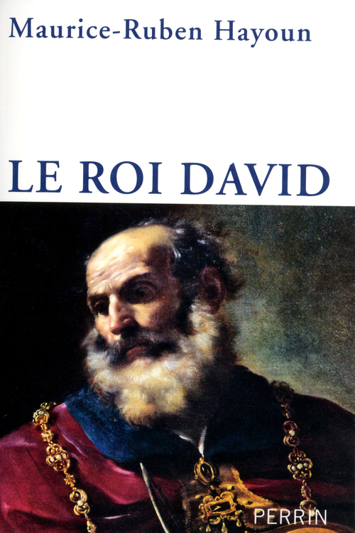 ebook cover of Le roi David, by Maurice-Ruben Hayoun