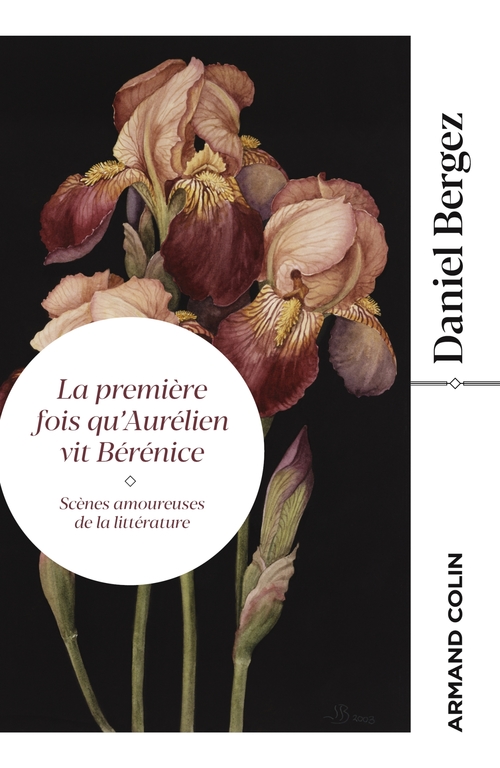 ebook cover of La première fois qu'Aurélien vit Bérénice, by Daniel Bergez