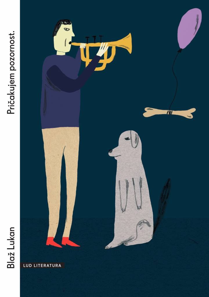 Couverture ebook de Pricakujem pozornost, de Blaz Lukan