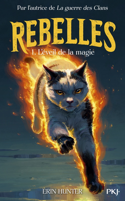 ebook cover of Rebelles - Tome 01 : L'éveil de la magie, by Erin Hunter