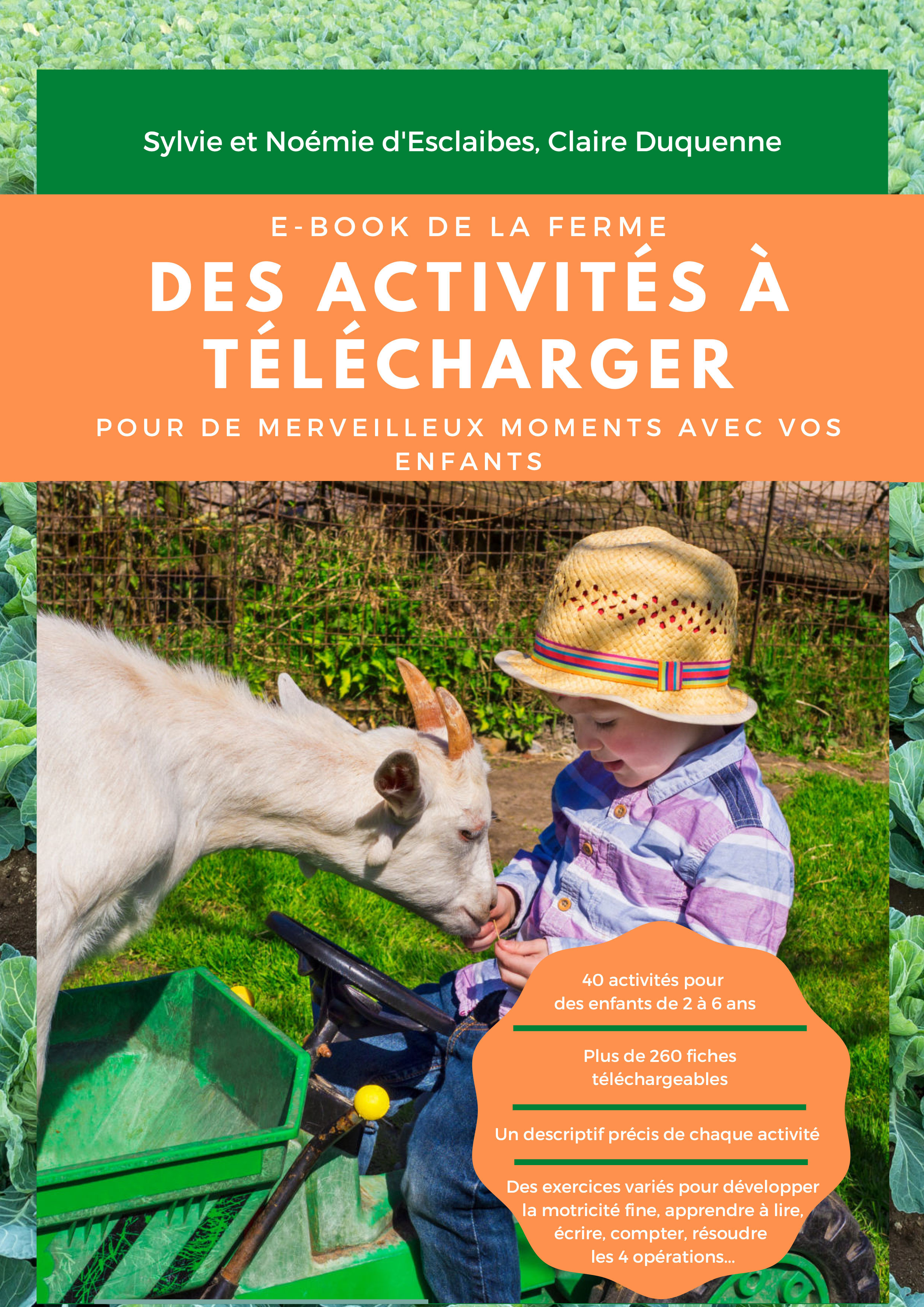 Couverture ebook de Ebook Montessori Ferme, de Claire Du Sylvie Et Noemie D''Esclaibes