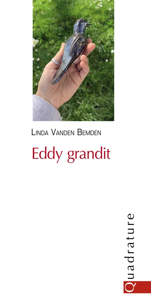 Couverture ebook de Eddy grandit, de Linda Vanden Bemden