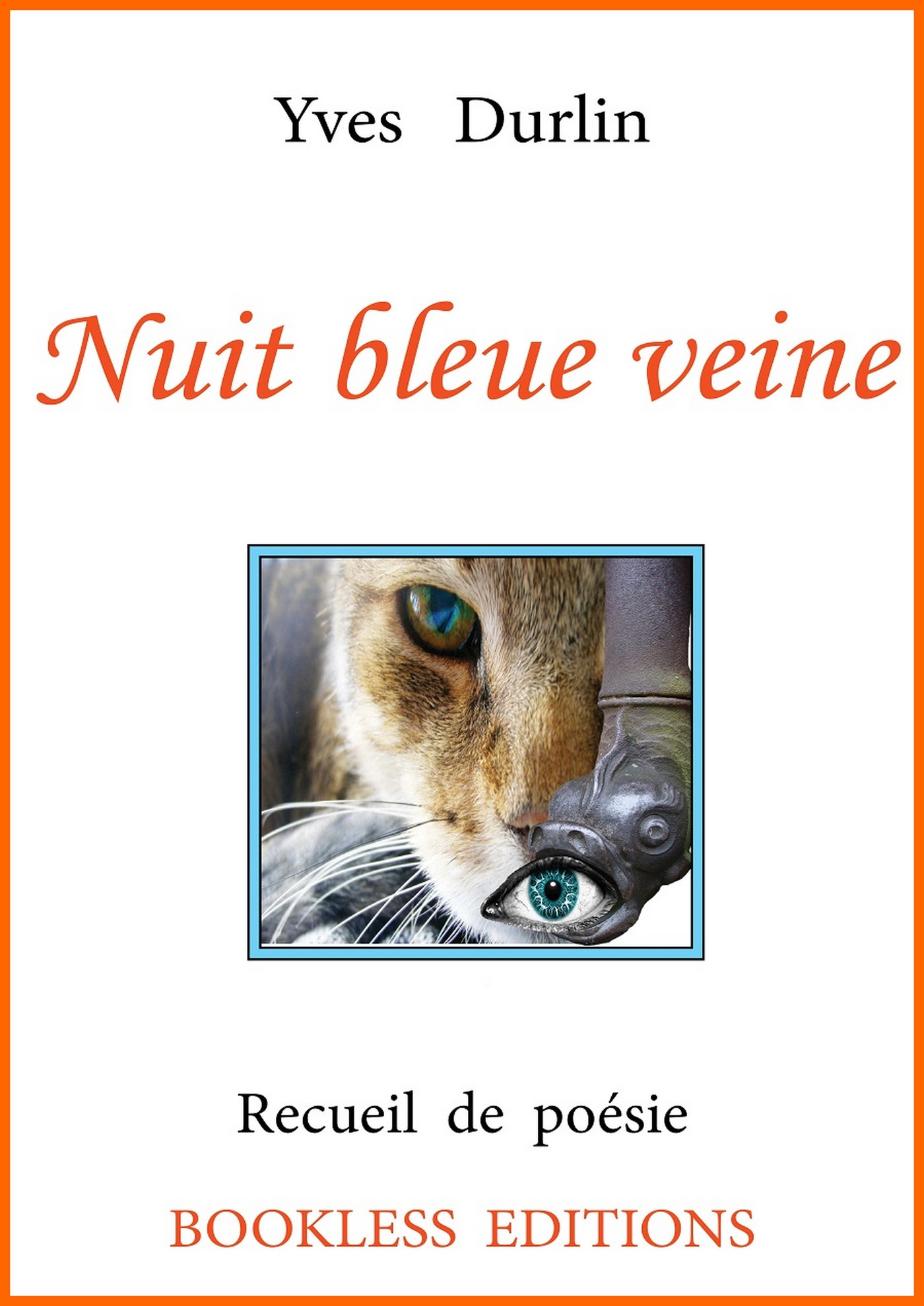 ebook cover of Nuit bleue veine, by Yves Durlin