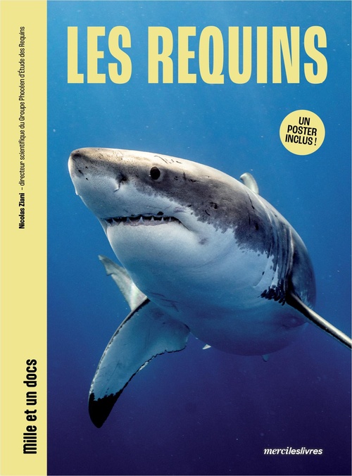 Couverture ebook de Les requins - Mille et un docs, de Nicolas Ziani